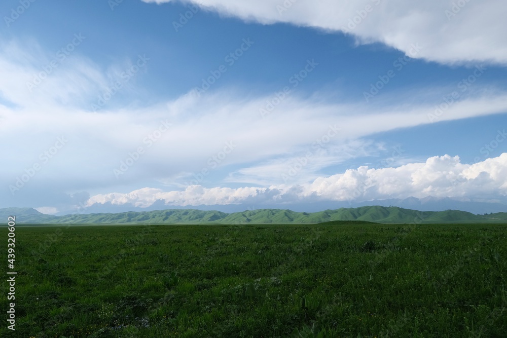 wide green prairie with hills under white clouds blue sky. In Xinjiang China 
