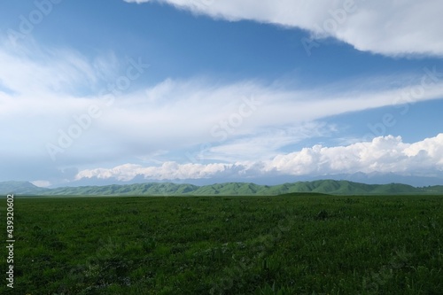 wide green prairie with hills under white clouds blue sky. In Xinjiang China  © Robert