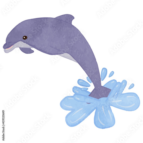 Dolphin jumping from the surface of the water