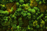 natural green background, panel made of stabilized moss
