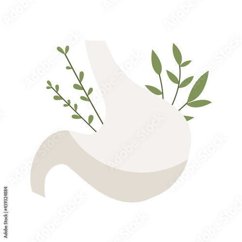 Stomach, gastric with leaves. Gastroenterology. Homeopathy, naturopathy, ethnoscience. Alternative medicine. Treatment with folk remedies, natural organic herb. Vector flat cartoon illustration