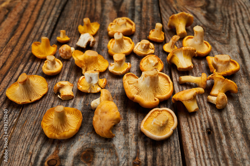 Golden Chantarelle mushrooms on a wooden board