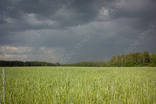 Obraz na płótnie Suburbs of Grodno