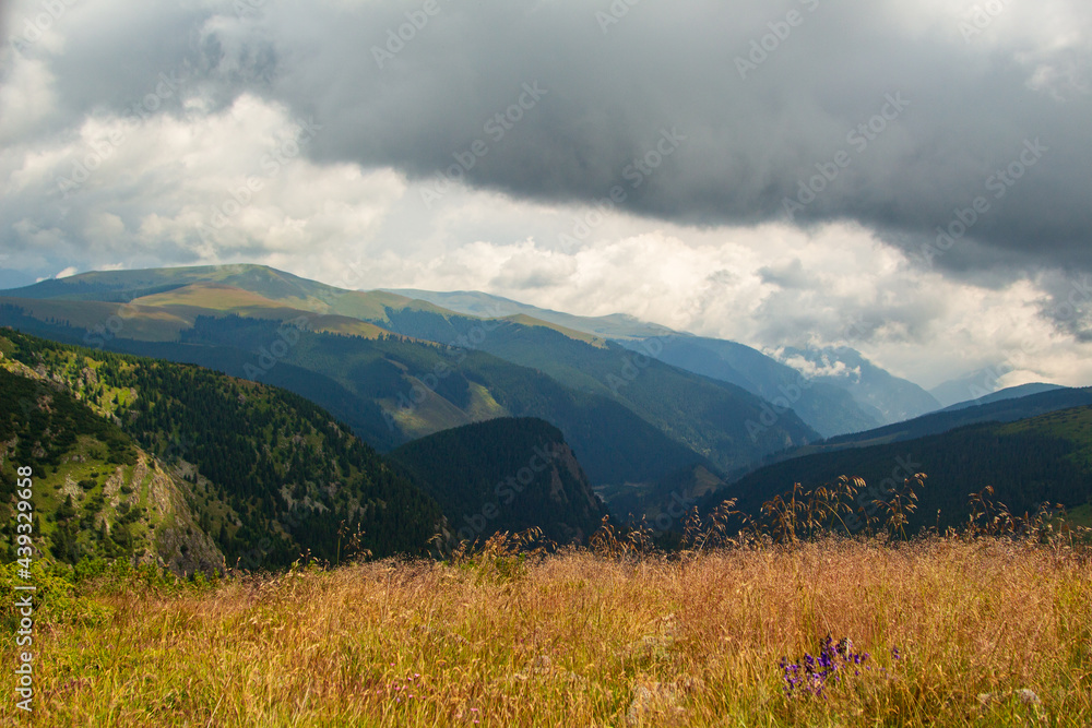 Fototapeta premium On the Transalpina, Romania