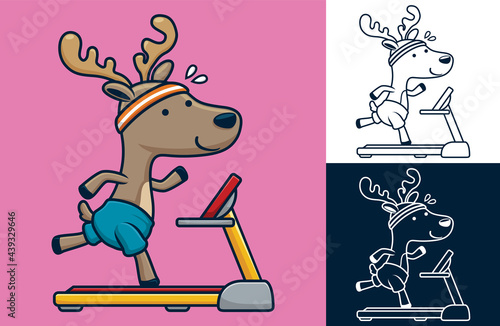 Deer running on treadmill. Vector cartoon illustration in flat icon style