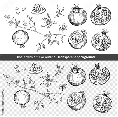 Set of pomegranate fruit sketch illustrations. Vector outline, isolated on white background.