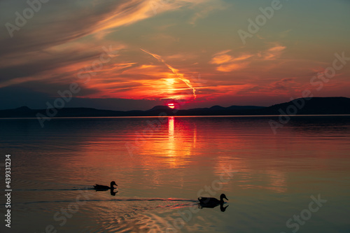 two ducks on the lake at sunset