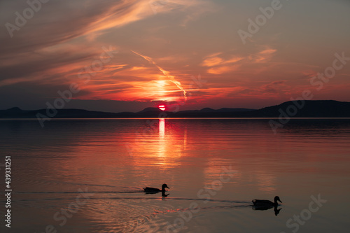 Landscape with a sunset on the bank of a river