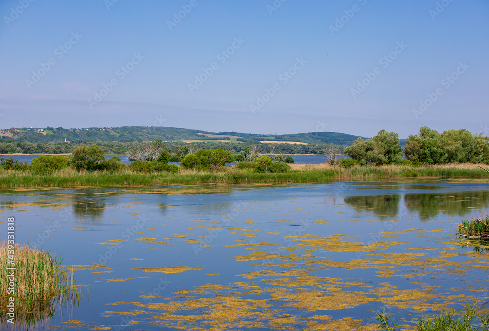 landscape of the Little Balaton - Hungary landscape of the Little Balaton - Hungary