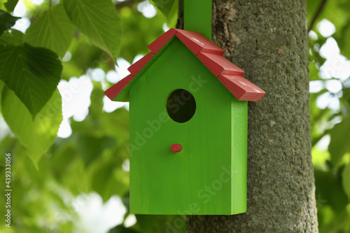 Green bird house on tree trunk outdoors © New Africa