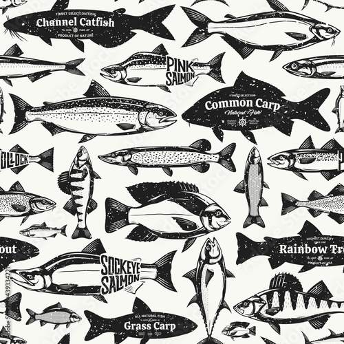 Vector fish retro-styled seamless pattern or background. Fish illustration collection