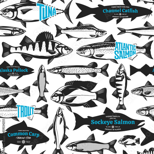 Vector fish seamless pattern or background. Fish illustration collection