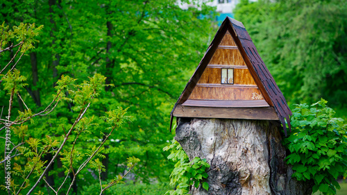 house in the forest for animals and birds. Wooden bird house in the summer park. on an tree stump. Old wooden feeder for birds on a tree, empty bird's feeder caring about wild birds in cold season. © Oleksandr Filatov