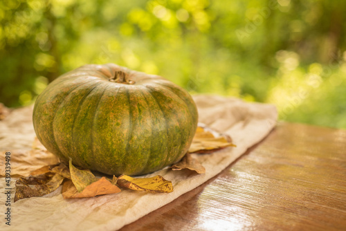 Autumn fallen leaves with green Pumpkin on old wooden table.  Fresh leaves on background. Thanksgiving day, Halloween concept. Copy space for text. Cozy fall. Harvest. Sunny day.