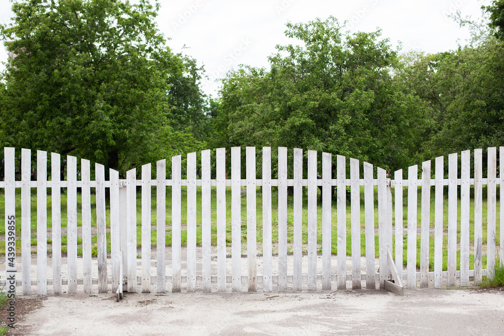 Summer garden in backyard and wooden fence. Wooden Fence Solid Privacy in rustic style. Long country style garden fence in countryside. White fence on green grass and the trees behind.	

