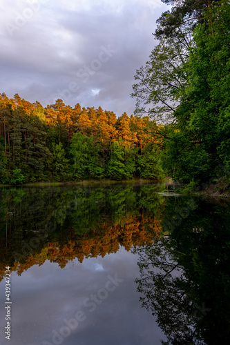 Fototapeta Naklejka Na Ścianę i Meble -  Forest reflecting in the water at sunset On the long lake in Olsztyn - Warmia and Masuria, Poland, Europe