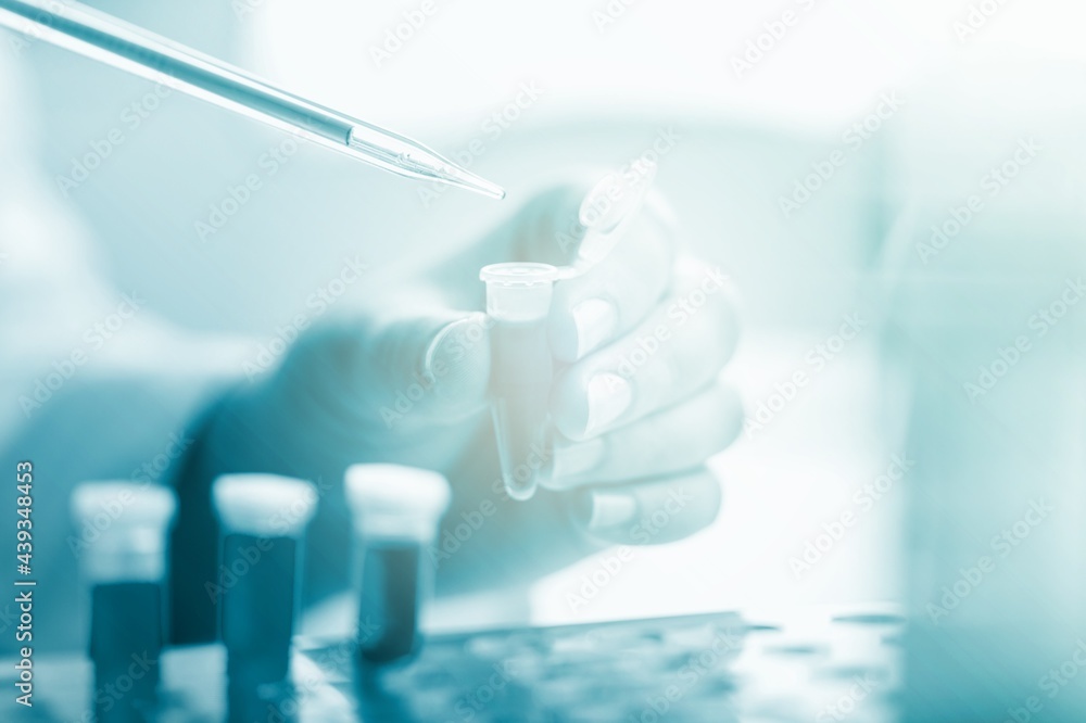 Lab. Lab.