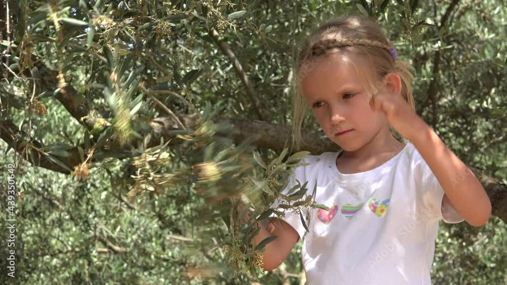 Farmer Child Playing by Tree, Kid Picking Olive in Orchard, Girl Studying Fruits in Prairie, Children Outdoor in Nature Farmer Child Playing by Tree, Kid Picking Olive in Orchard, Girl Studying Fruits in Prairie, Children Outdoor in Nature