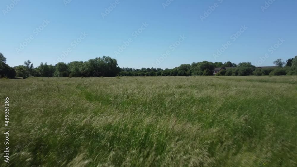 Drone Shot Flying Low Over Tall Grass Field Drone Shot Flying Low Over Tall Grass Field