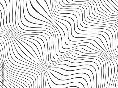 Gray warped lines.Gray wavy stripes.Wavy dark gray stripes on the white background.