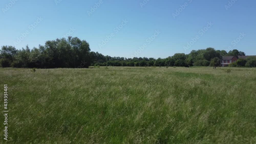 Drone Shot Flying Low Over and Then Rising Up Over a Tall Grass Field Drone Shot Flying Low Over and Then Rising Up Over a Tall Grass Field