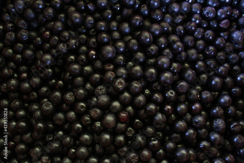 Chokeberry berries. Aronia berries. Chokeberry, aronia background fruit. Fruits. Berry. Freshly picked ripe berries. Aronia melanocarpa or black chokeberry background. Close up. Macro.