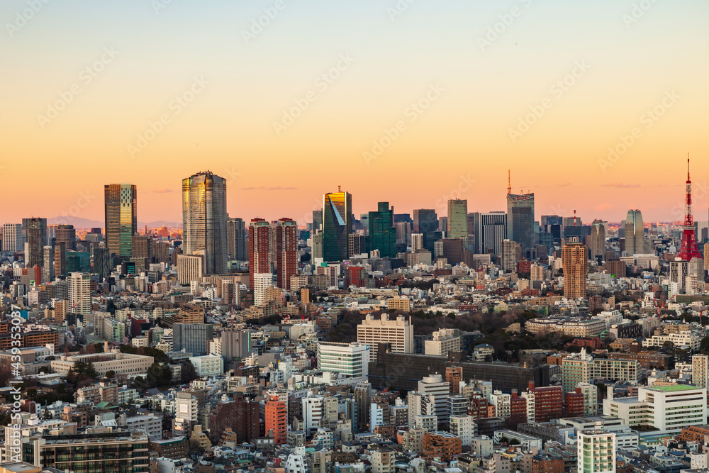 Obraz premium 東京都市風景 夕景