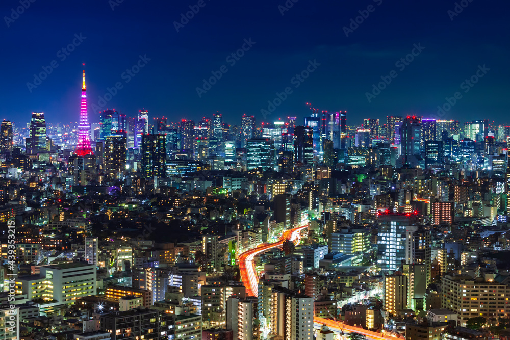 Obraz premium 東京都市風景 夜