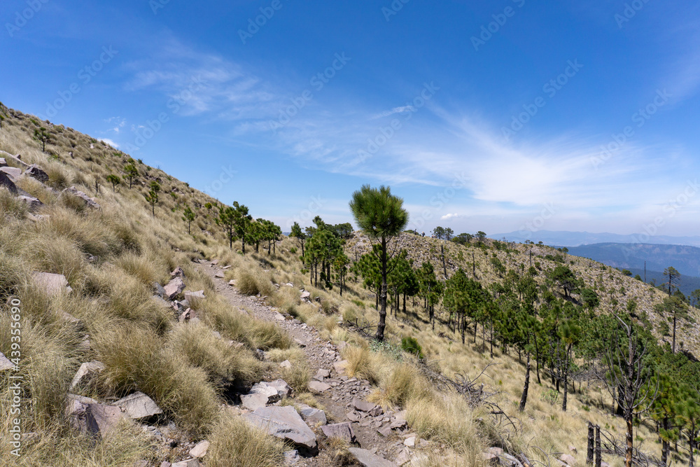 landscape with blue sky and clouds / panorámica de sendero con el cielo azul y despejado; Parque Nacional Cumbres del Ajusco, México. 
