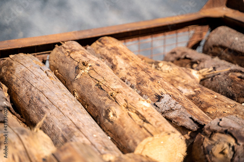 Felled brown untreated wood logs lie on top of each other in a metal container outside in production in a workshop, in a factory or on a farm, ready for shipment or processing. Agriculture concept