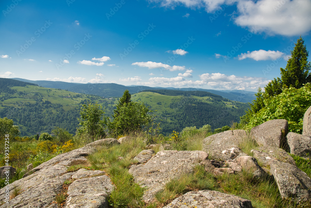 Fototapeta premium In den Höhen von La Bresse in den Vogessen