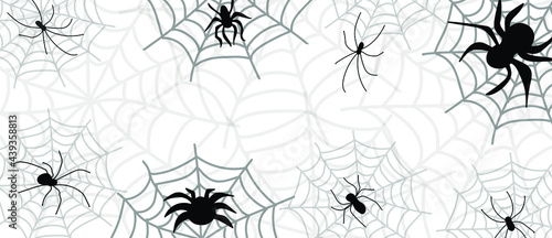 Spider and cobweb. The scary of the halloween symbol Isolated on white background. Can be used for greeting cards, posters, banners, flyers and invitations. Vector illustration.