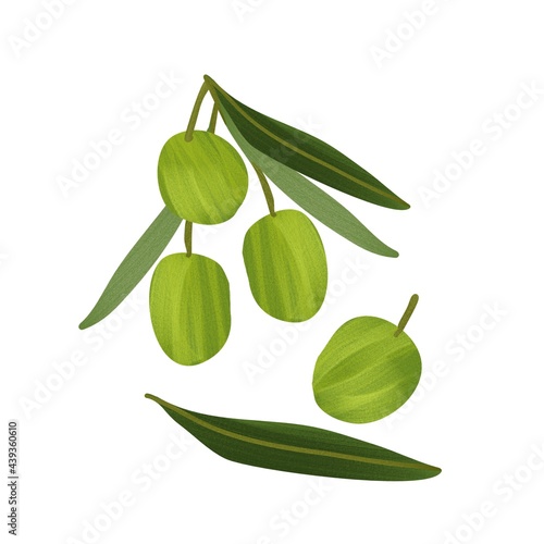 Wallpaper Mural Isolated bitmap of a branch with green olives. Digital image with pencil texture. A natural illustration. Design of wallpaper, fabrics, textiles, packaging, gift paper, weddings. Torontodigital.ca