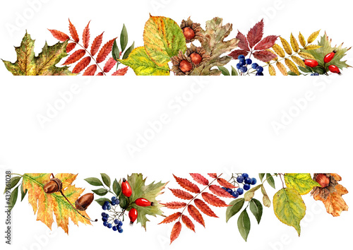  Autumn banner composition of orange, green, yellow leaves, berries, fruits and hazelnuts. Watercolor on a white background template for cards, banners, background, print.