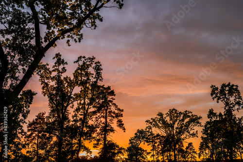 Evening landscape with clouds illuminated by the setting sun. Majestic sunset in the oak forest.