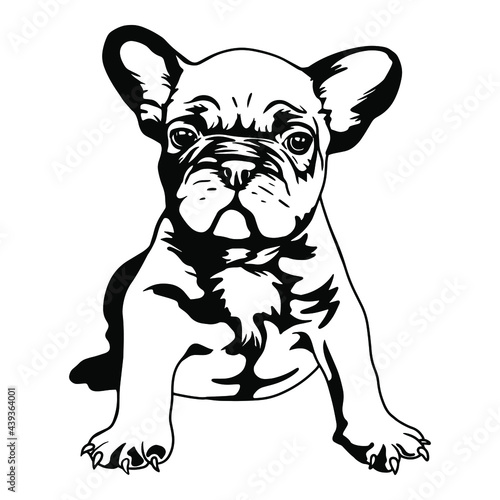 French Bulldog Puppy Vinyl Cutting File