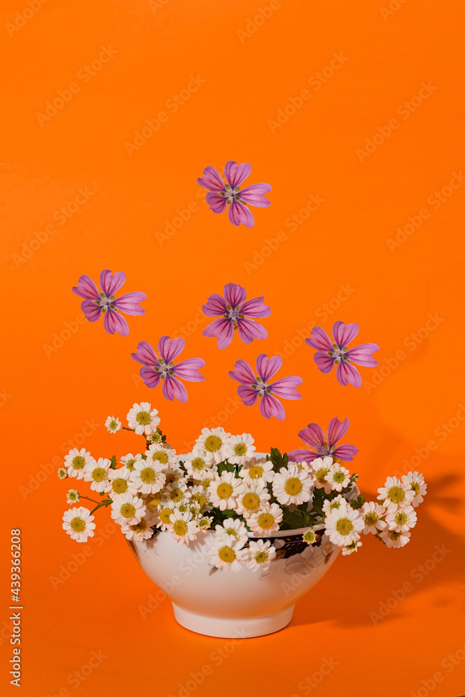 The concept of making tea. Marshmallow and chamomile flowers. Isolated on orange background. 