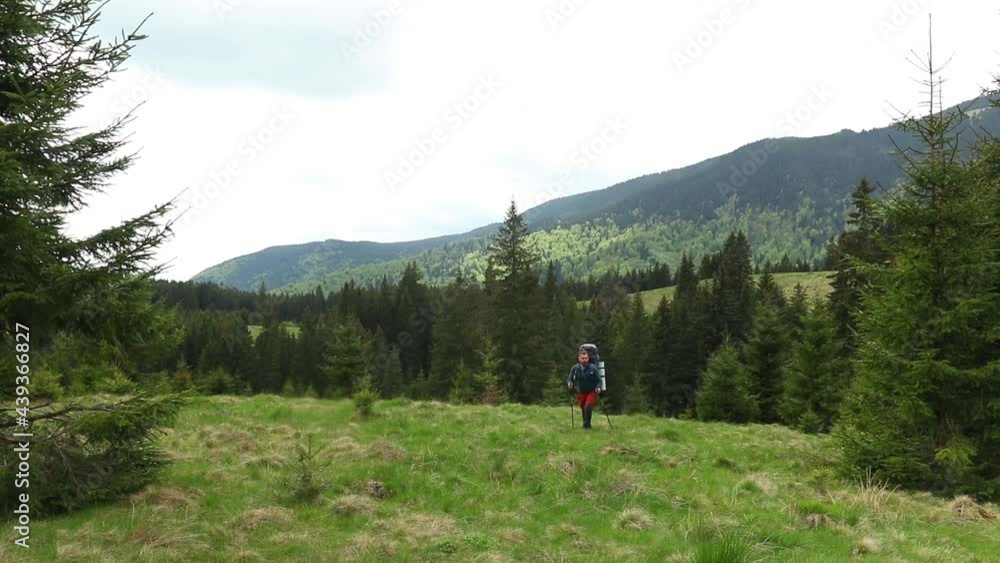 A hiker with backpack walking through the mountain glade in spring A hiker with backpack walking through the mountain glade in spring