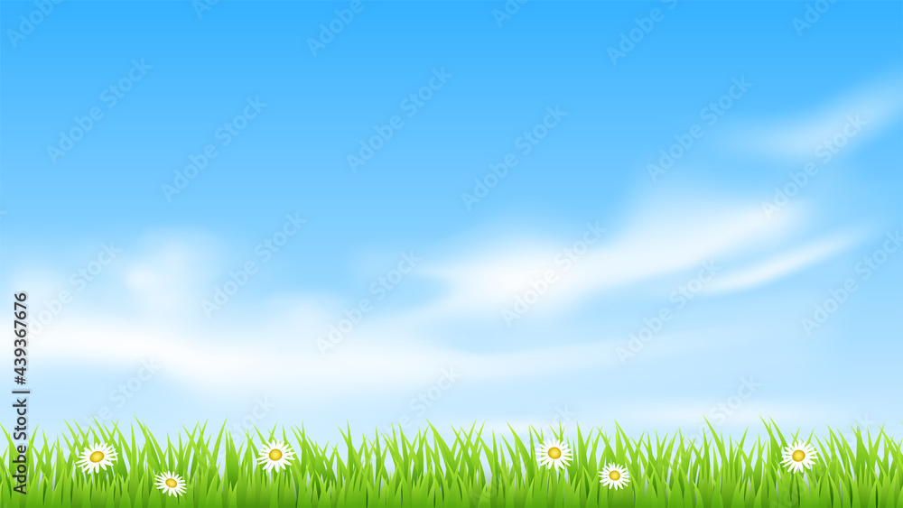 Vector summer landscape. Green grass and flowers. Vector summer landscape. Green grass and flowers.