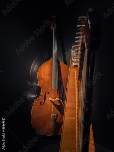 Canvas Print Classic double bass supported by a harp