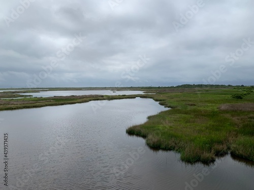 view of the river