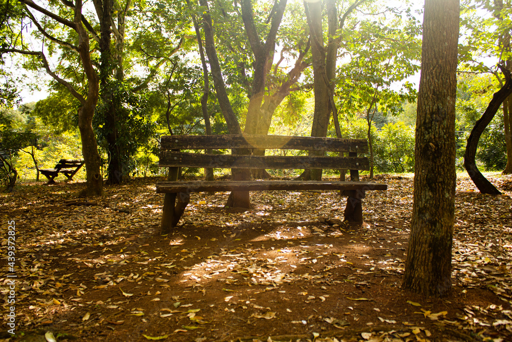 Banco de parque madeira antiga