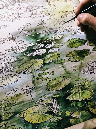 Water Lilies watercolor illustration photo