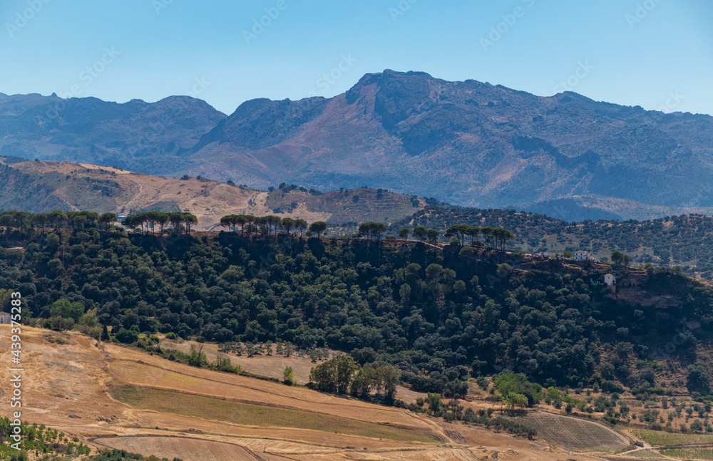 Ronda and Andalucia Landscape