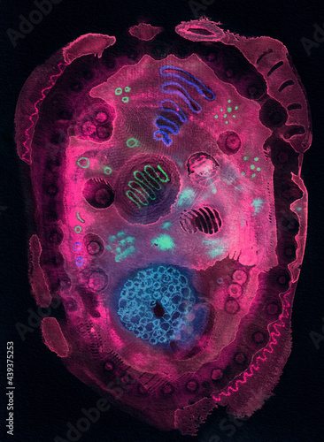 Cell Structure, a watercolor and gouache painting of an artistic representation of a single cell. photo