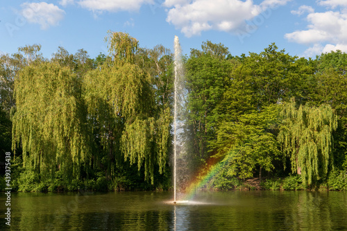 Pond, lake in the park, nature reserve, recreational area with fountain in the middle and with beautiful green trees in the background, blue sky