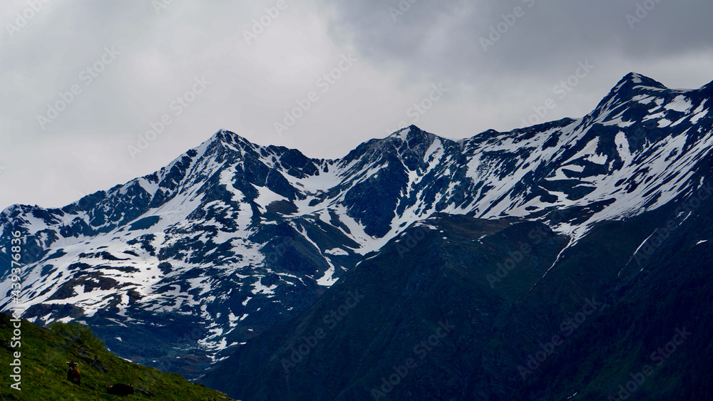Welcome to Switzerland Welcome to Switzerland