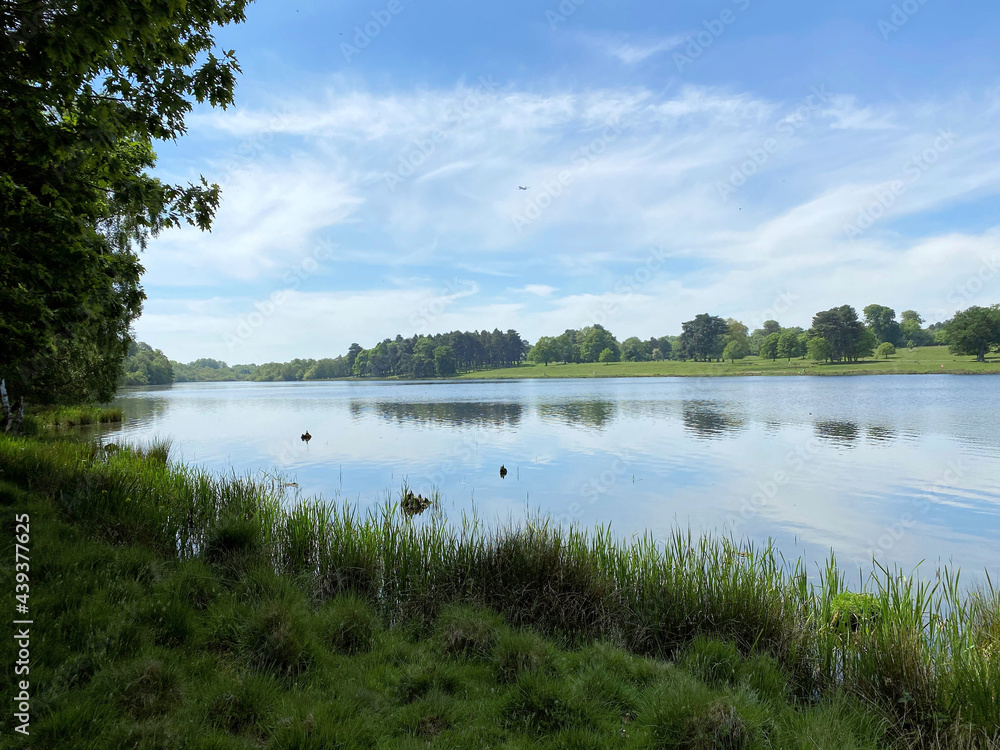 A view of the lake at Tatton Park in Cheshire on a sunny day