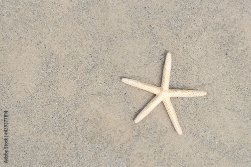 Starfish on the beach with copy space top view. Concept summer season on tropical beach