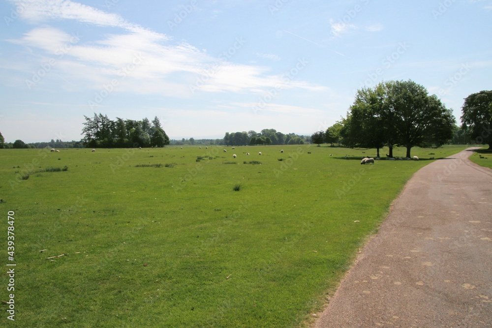 A view of the Cheshire Countryside at Tatton Park